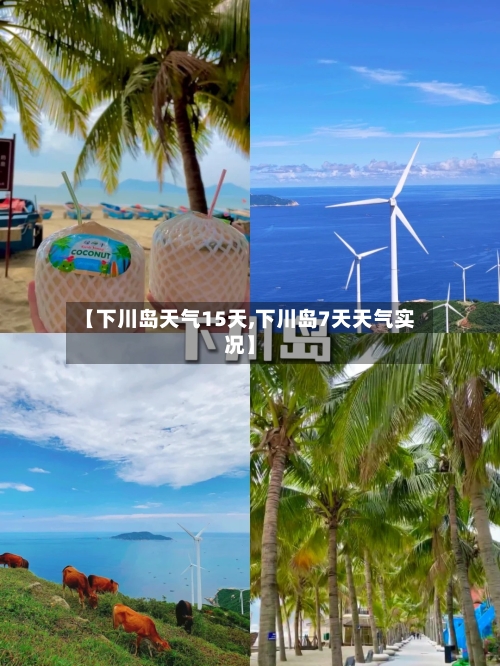 【下川岛天气15天,下川岛7天天气实况】