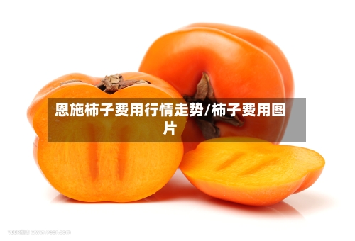 恩施柿子费用行情走势/柿子费用图片