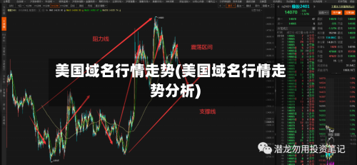 美国域名行情走势(美国域名行情走势分析)