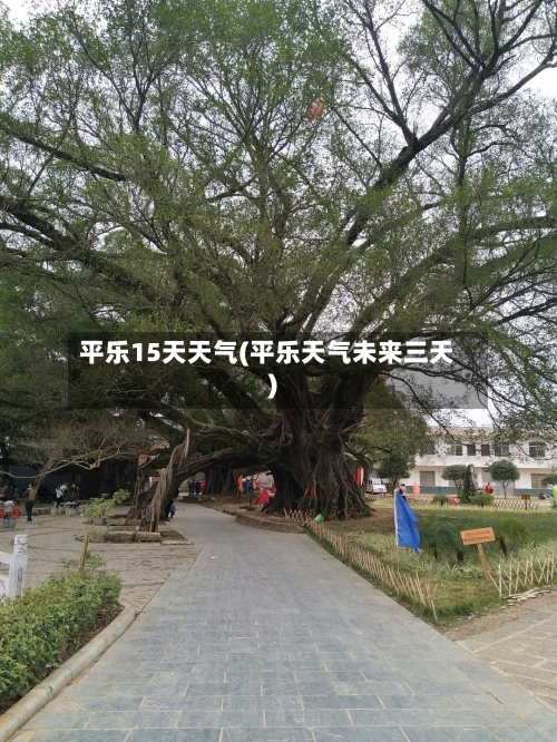 平乐15天天气(平乐天气未来三天)