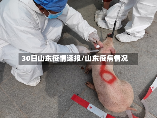 30日山东疫情速报/山东疫病情况