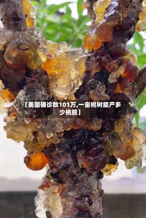 【美国确诊数101万,一亩桃树能产多少桃胶】
