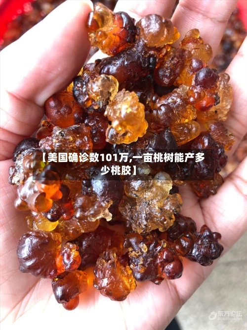 【美国确诊数101万,一亩桃树能产多少桃胶】