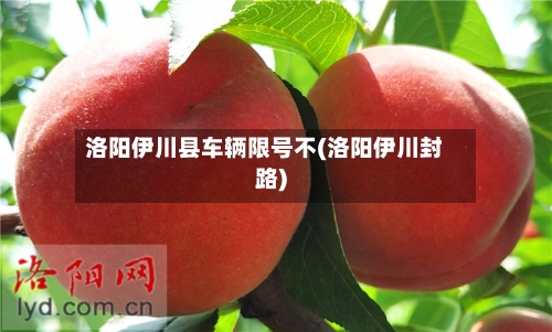 洛阳伊川县车辆限号不(洛阳伊川封路)