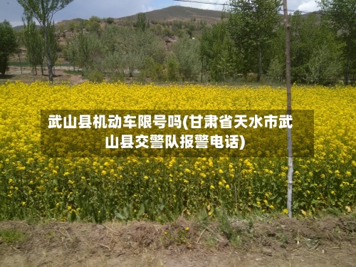 武山县机动车限号吗(甘肃省天水市武山县交警队报警电话)