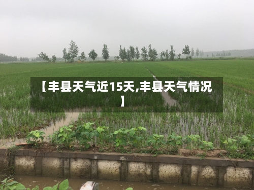 【丰县天气近15天,丰县天气情况】