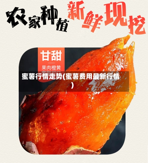 蜜薯行情走势(蜜薯费用最新行情)