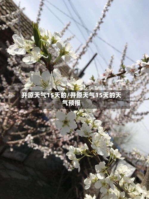 开原天气15天的/开原天气15天的天气预报