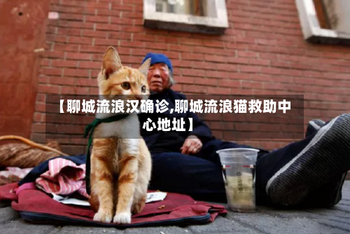 【聊城流浪汉确诊,聊城流浪猫救助中心地址】