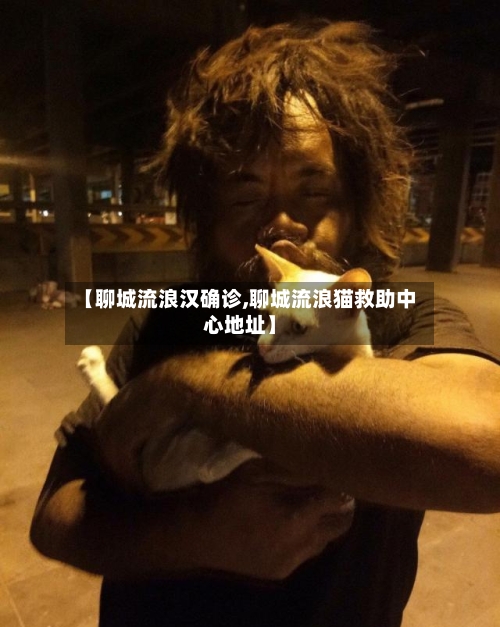 【聊城流浪汉确诊,聊城流浪猫救助中心地址】