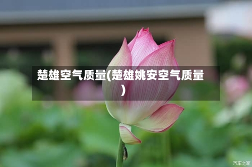 楚雄空气质量(楚雄姚安空气质量)