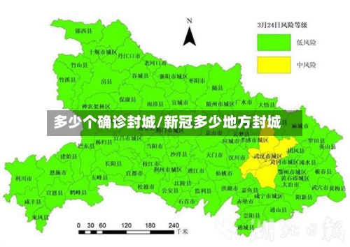 多少个确诊封城/新冠多少地方封城