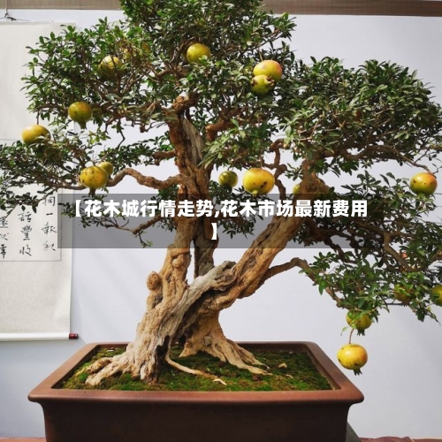 【花木城行情走势,花木市场最新费用】