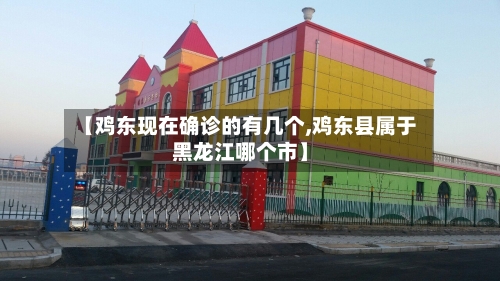 【鸡东现在确诊的有几个,鸡东县属于黑龙江哪个市】