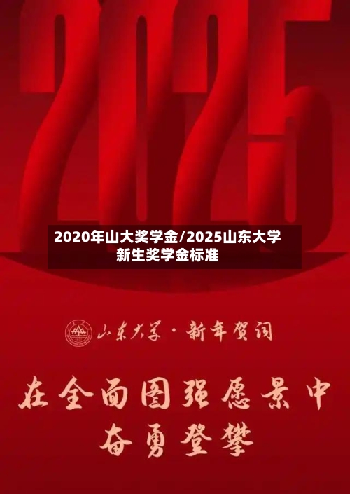 2020年山大奖学金/2025山东大学新生奖学金标准