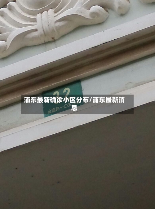 浦东最新确诊小区分布/浦东最新消息