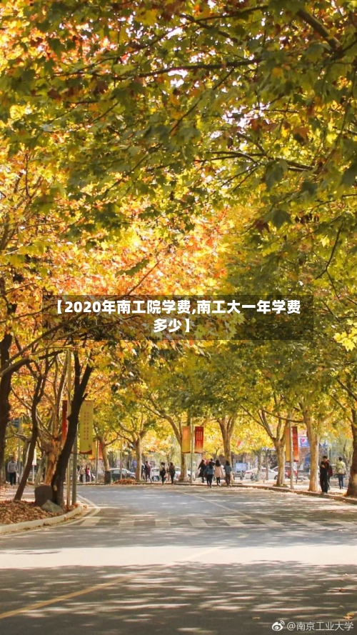 【2020年南工院学费,南工大一年学费多少】