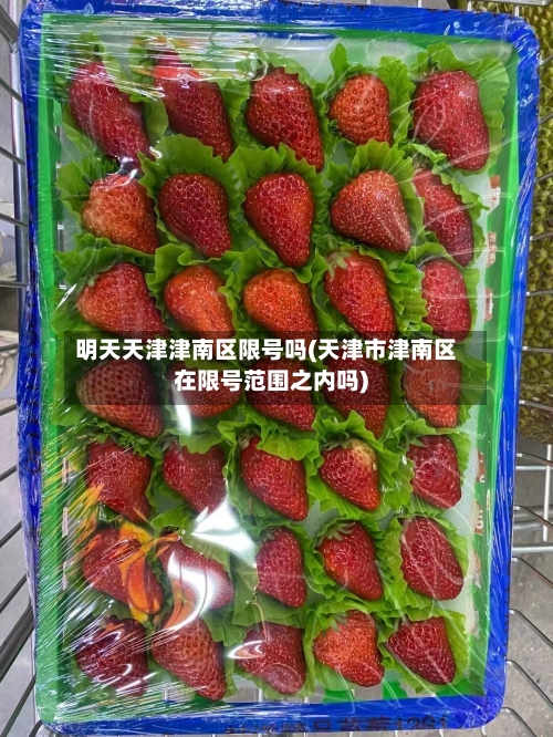 明天天津津南区限号吗(天津市津南区在限号范围之内吗)
