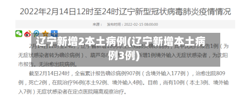 辽宁新增2本土病例(辽宁新增本土病例3例)