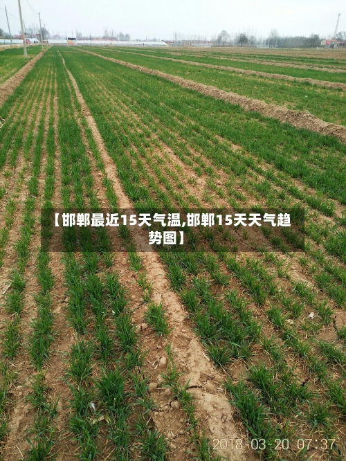 【邯郸最近15天气温,邯郸15天天气趋势图】