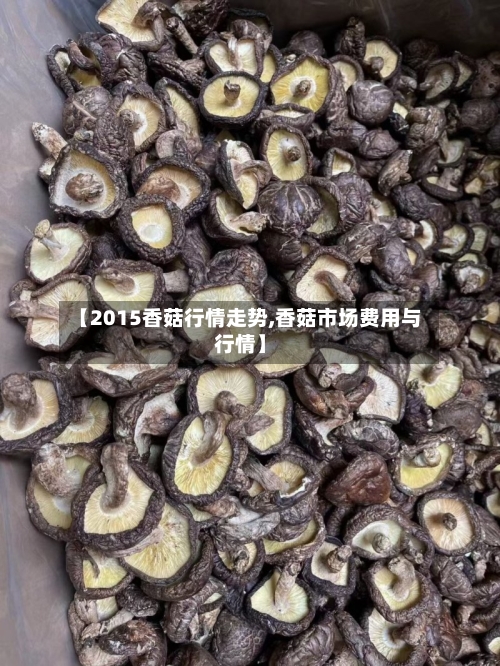 【2015香菇行情走势,香菇市场费用与行情】
