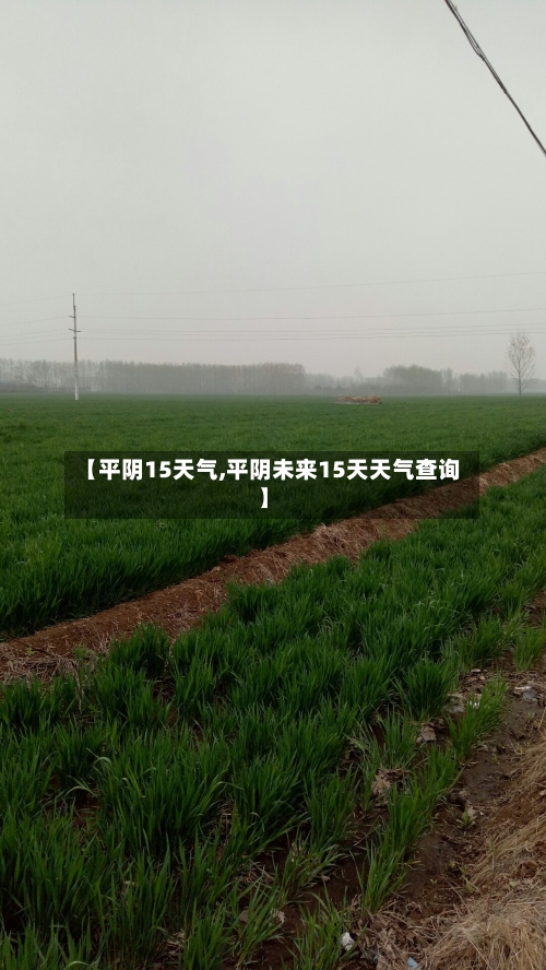 【平阴15天气,平阴未来15天天气查询】