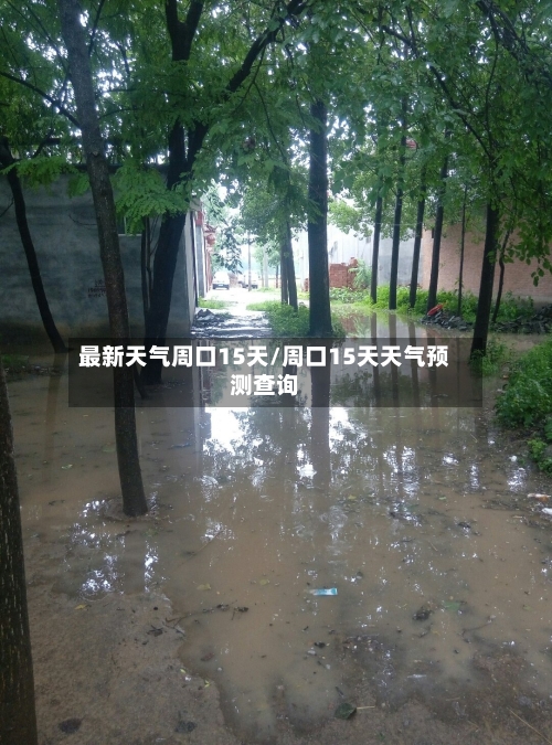 最新天气周口15天/周口15天天气预测查询