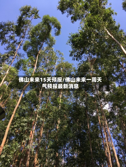 佛山未来15天预报/佛山未来一周天气预报最新消息