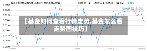 【基金如何查看行情走势,基金怎么看走势图技巧】