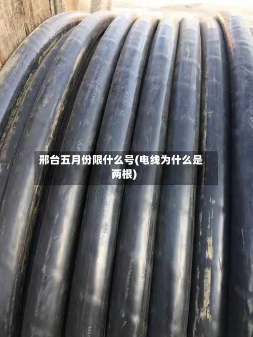 邢台五月份限什么号(电线为什么是两根)
