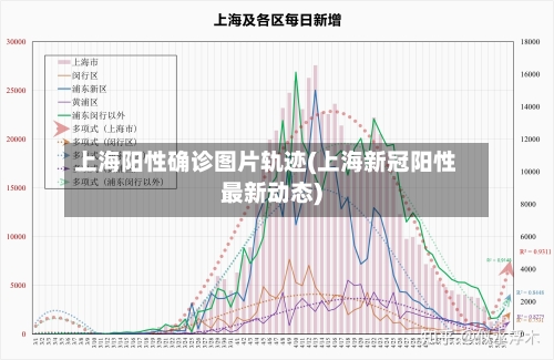 上海阳性确诊图片轨迹(上海新冠阳性最新动态)