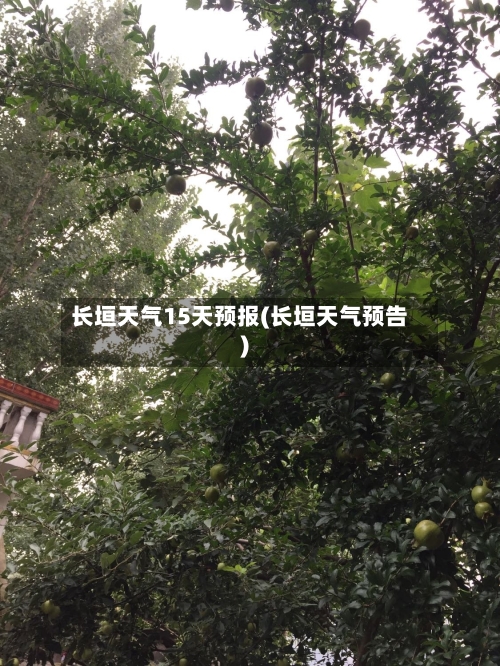 长垣天气15天预报(长垣天气预告)