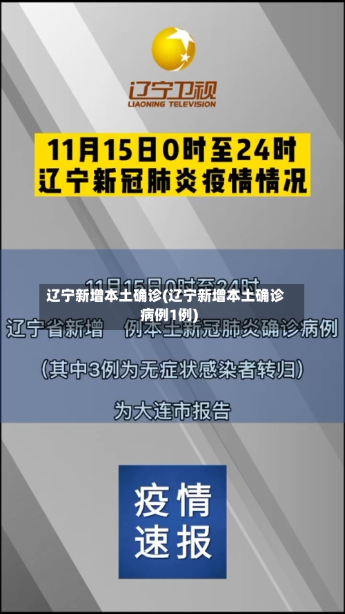 辽宁新增本土确诊(辽宁新增本土确诊病例1例)