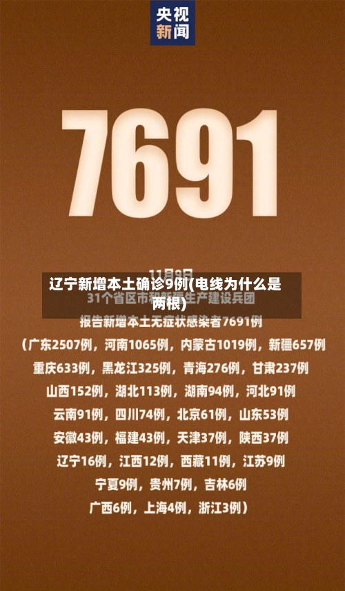 辽宁新增本土确诊9例(电线为什么是两根)