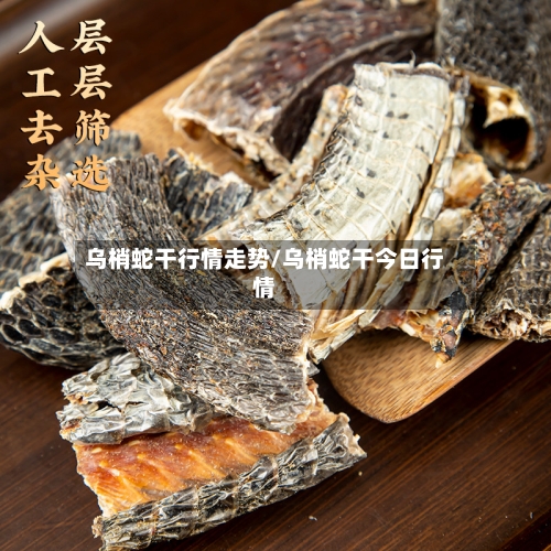 乌梢蛇干行情走势/乌梢蛇干今日行情