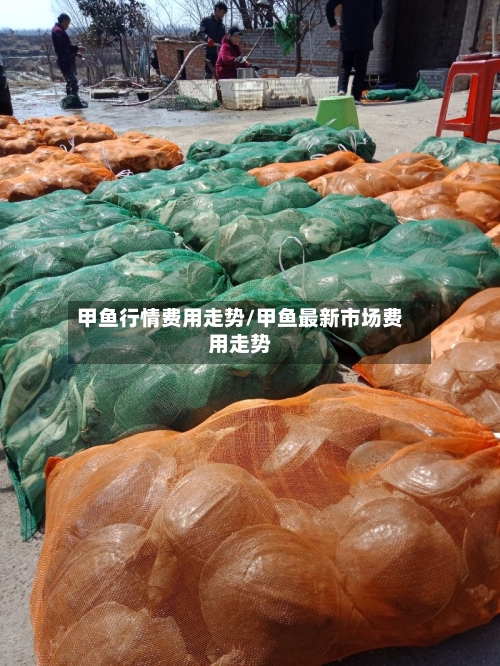 甲鱼行情费用走势/甲鱼最新市场费用走势