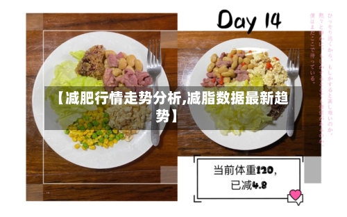 【减肥行情走势分析,减脂数据最新趋势】