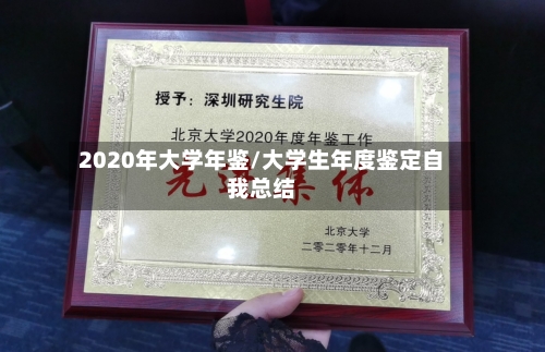 2020年大学年鉴/大学生年度鉴定自我总结