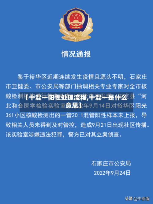 【十混一阳性处理流程,十混一是什么意思】