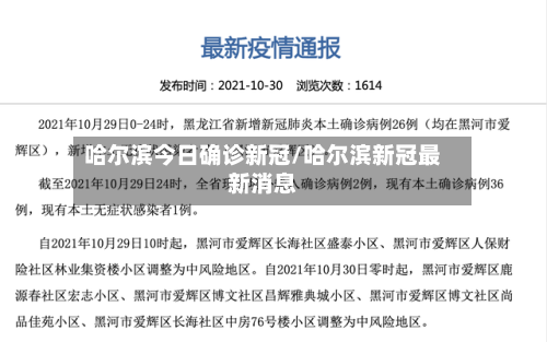 哈尔滨今日确诊新冠/哈尔滨新冠最新消息