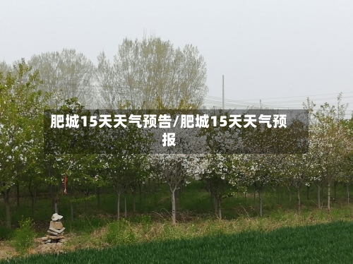 肥城15天天气预告/肥城15天天气预报