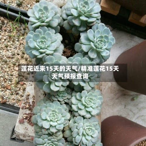 莲花近来15天的天气/精准莲花15天天气预报查询