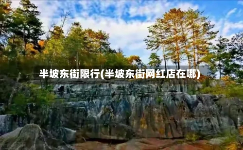 半坡东街限行(半坡东街网红店在哪)