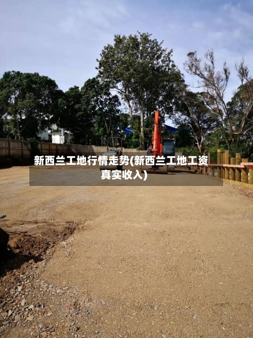 新西兰工地行情走势(新西兰工地工资真实收入)