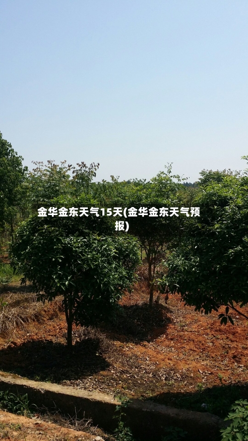 金华金东天气15天(金华金东天气预报)