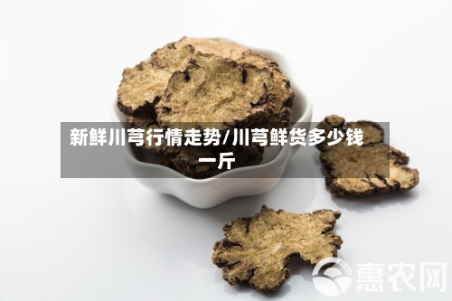 新鲜川芎行情走势/川芎鲜货多少钱一斤