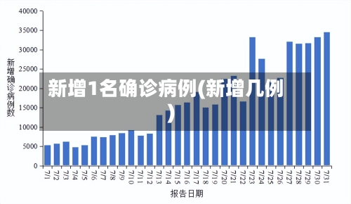 新增1名确诊病例(新增几例)