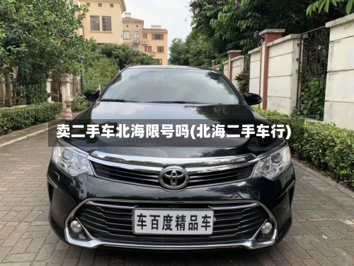 卖二手车北海限号吗(北海二手车行)