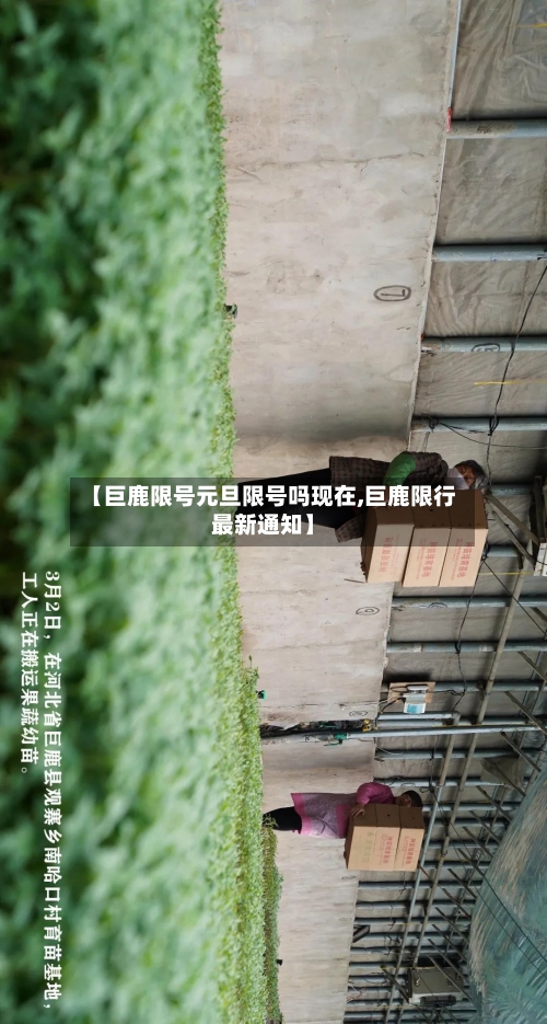 【巨鹿限号元旦限号吗现在,巨鹿限行最新通知】