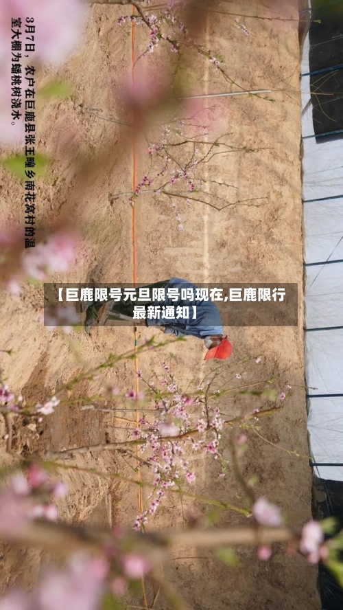 【巨鹿限号元旦限号吗现在,巨鹿限行最新通知】